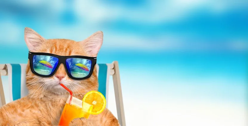 Is that your Summer holiday on the horizon?