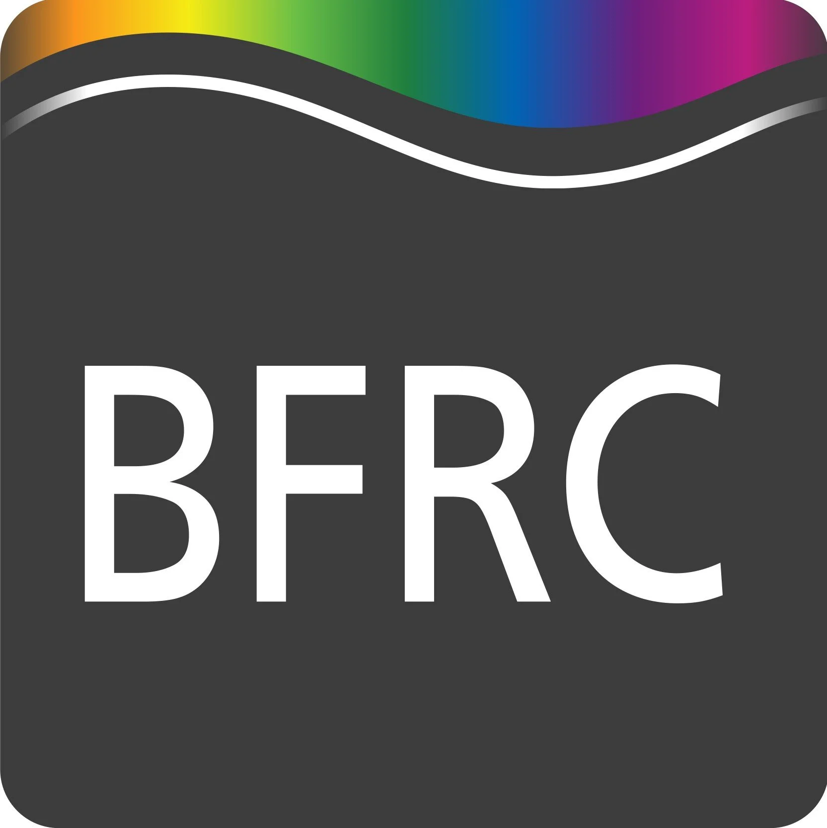 Close-up of a black PMP logo with a rainbow-colored wave design and the letters BERC in white.