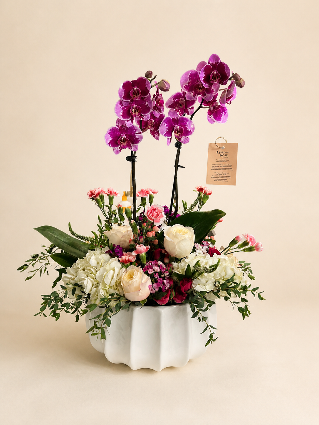 Velvet Orchid Garden