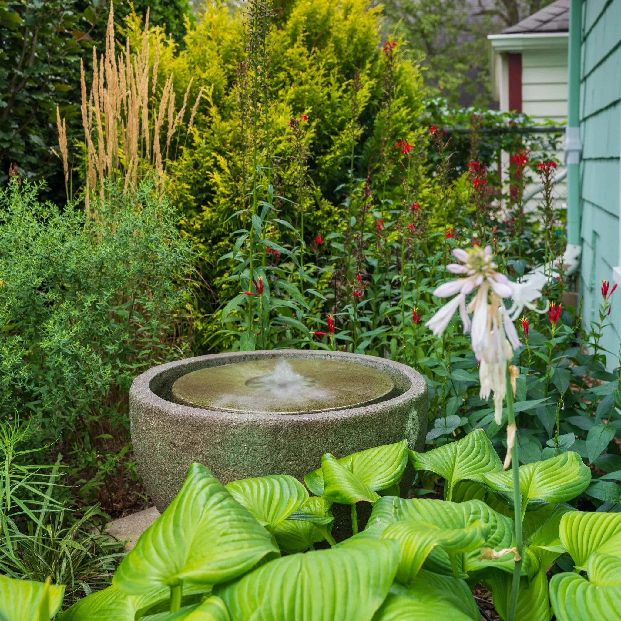 Naturalistic pollinator garden with bubbling stone fountain, layered perennial planting, ornamental grasses, and native-inspired landscape design in Ann Arbor, Michigan.