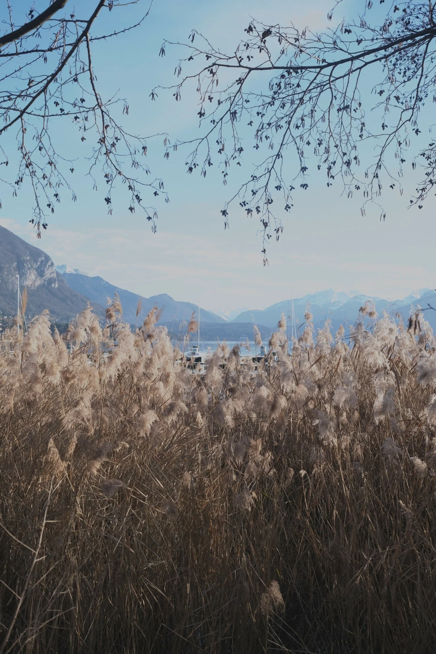 Pas l'Annecy des cartes postales.

L'autre.

#annecy #lacannnecy #hautesavoie #maisonannici