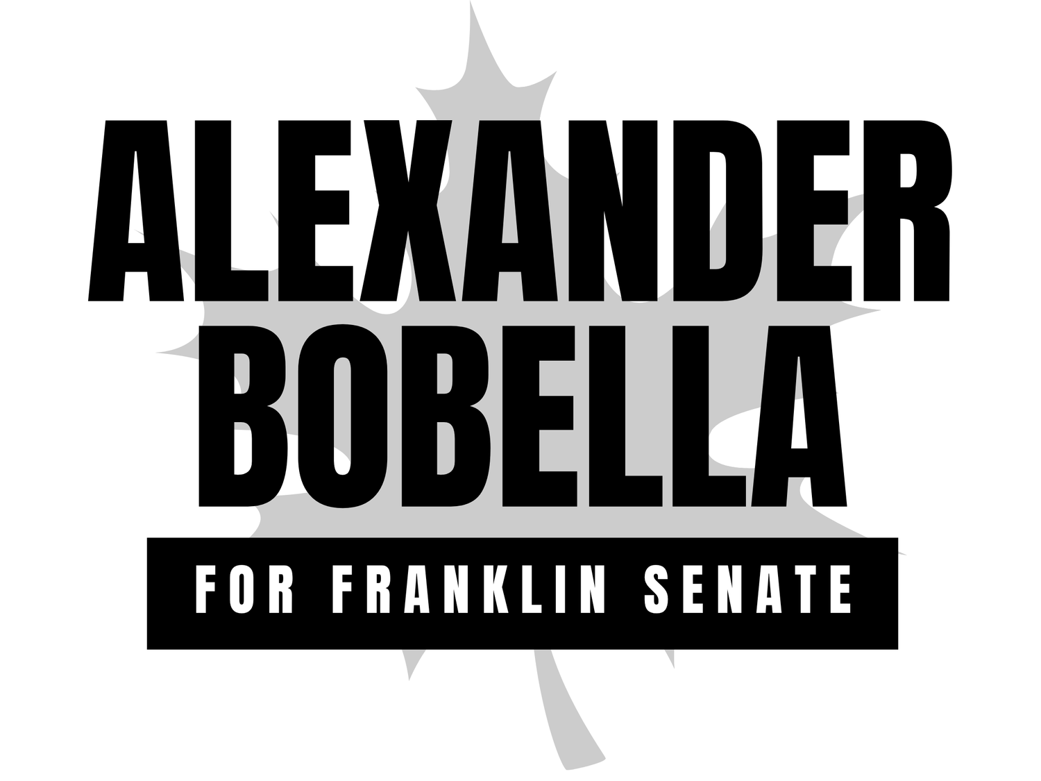 Alexander for Senate