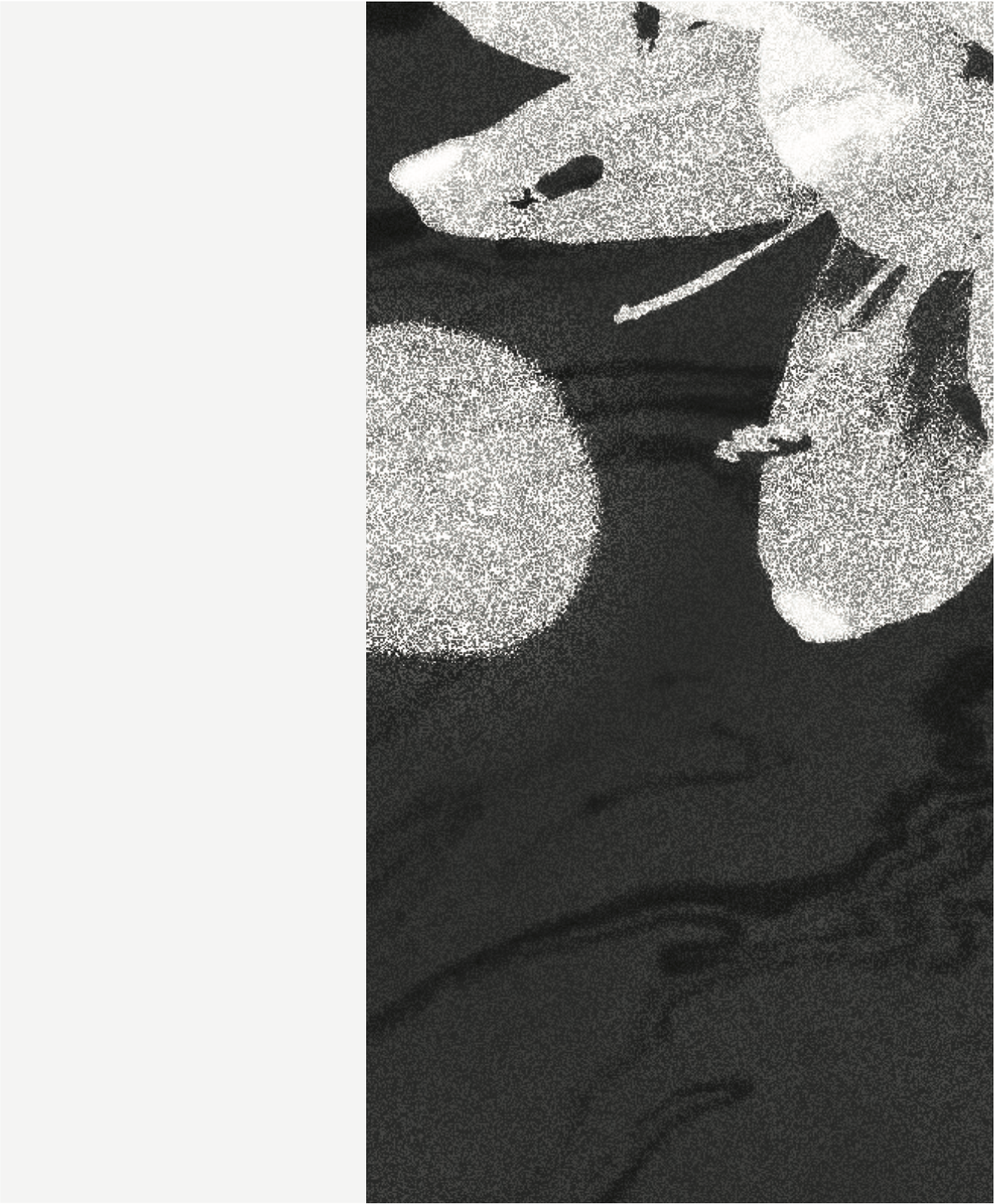 Screenshot 2026-03-17 at 15.38.06.png