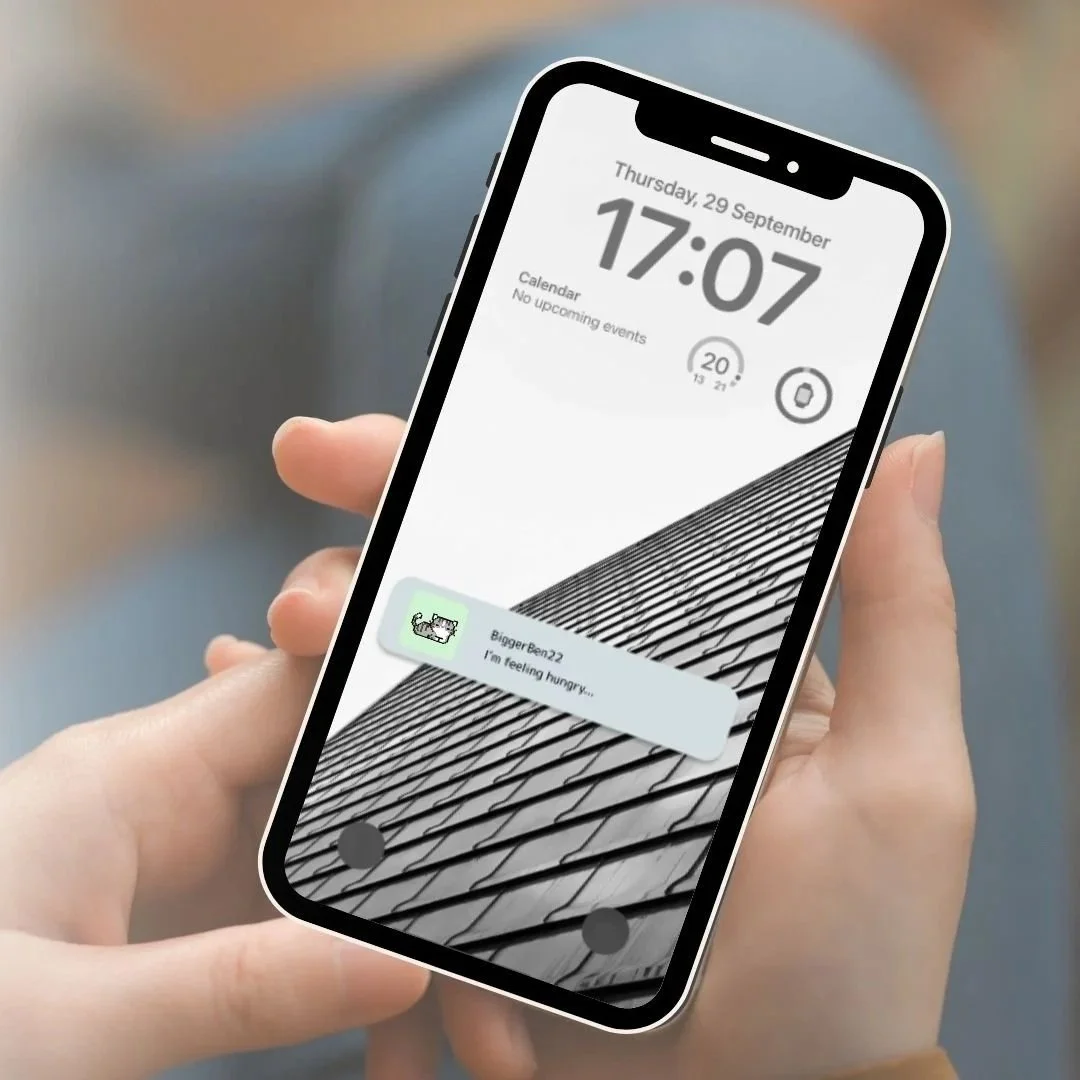 UI/UX: Lettuce Know!