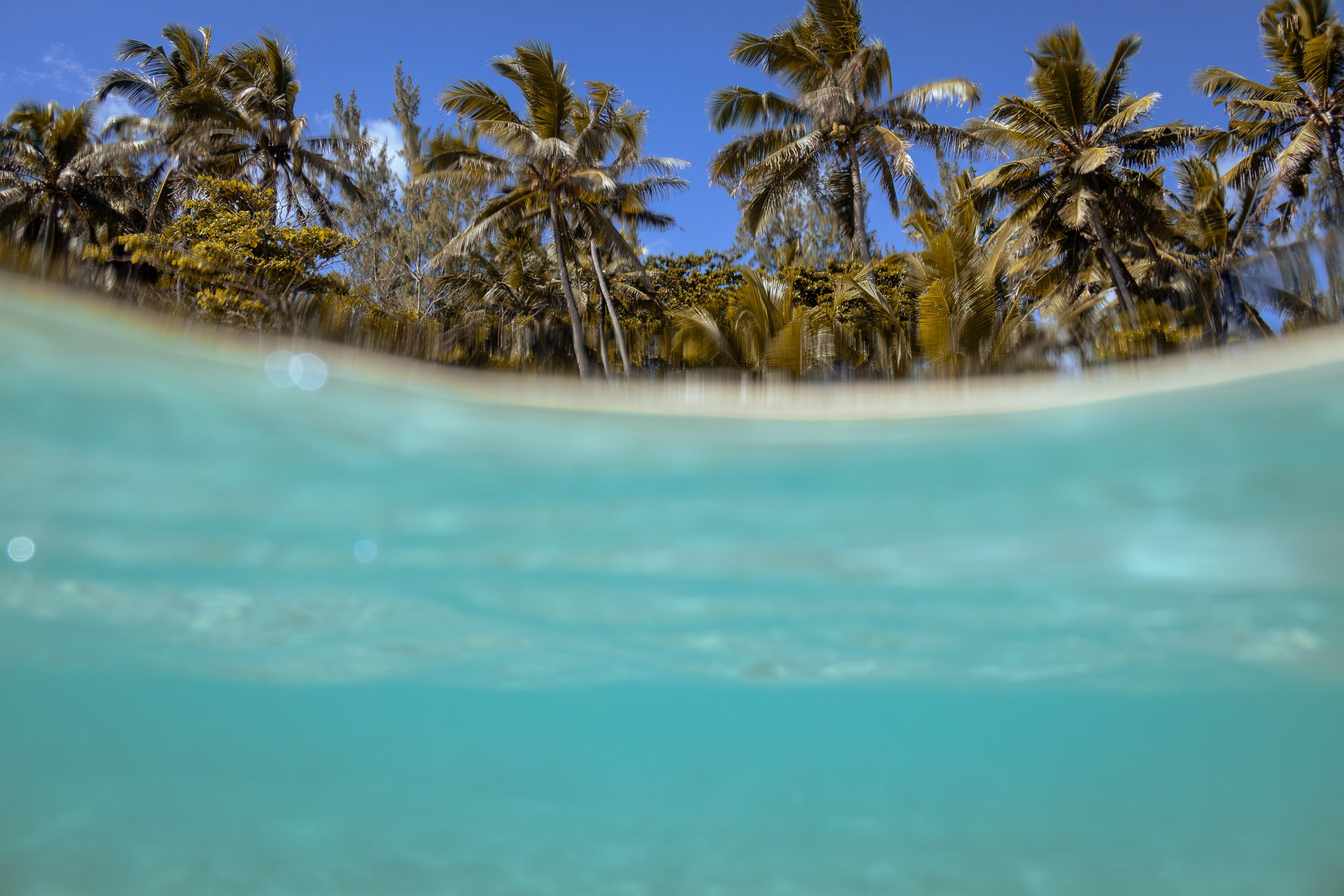 Website-169.jpg