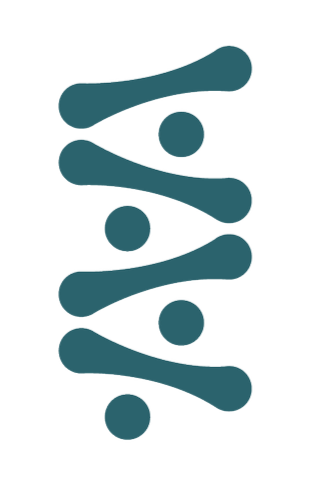Your Site Title