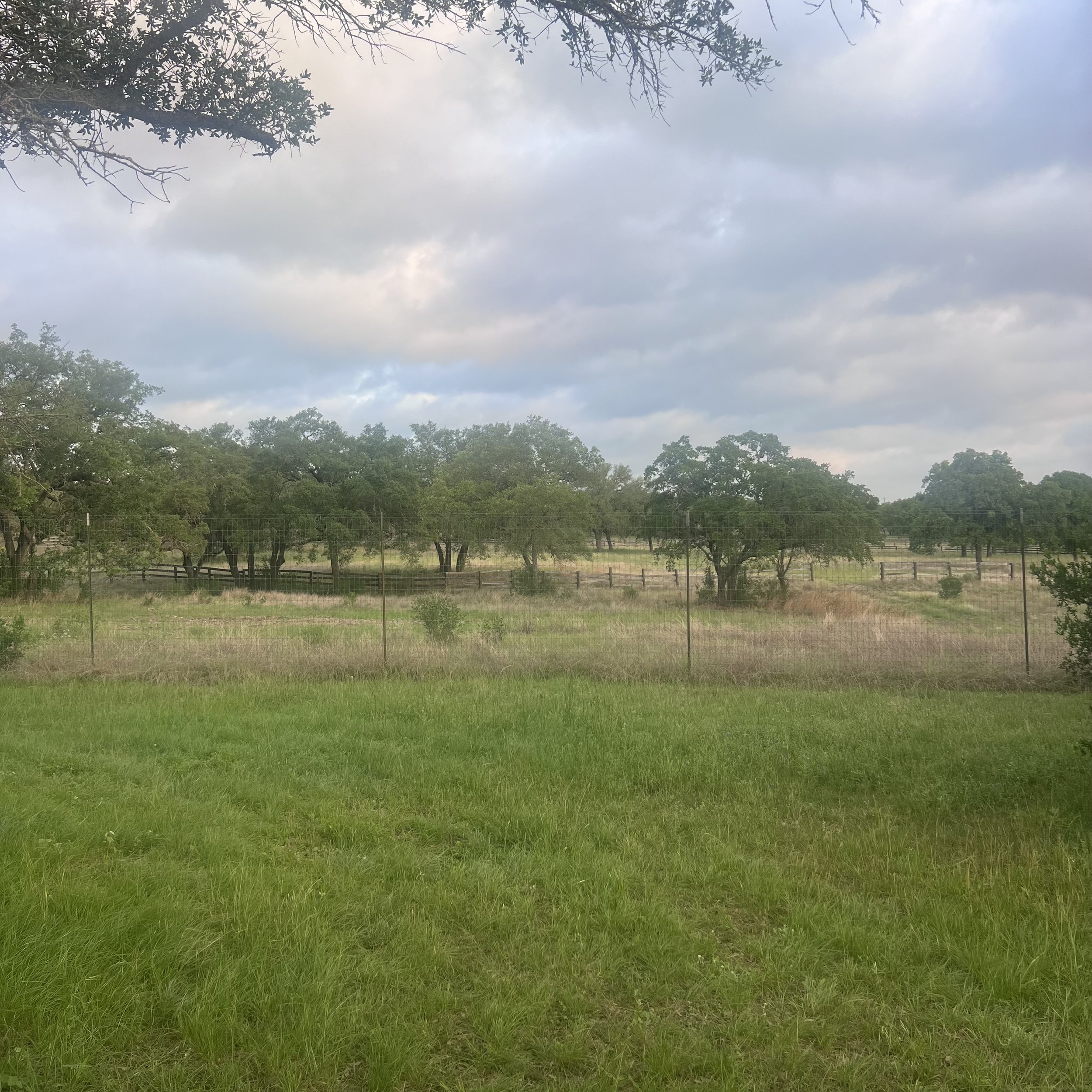Tranquil backyard neighbor with 8' high deer fence.