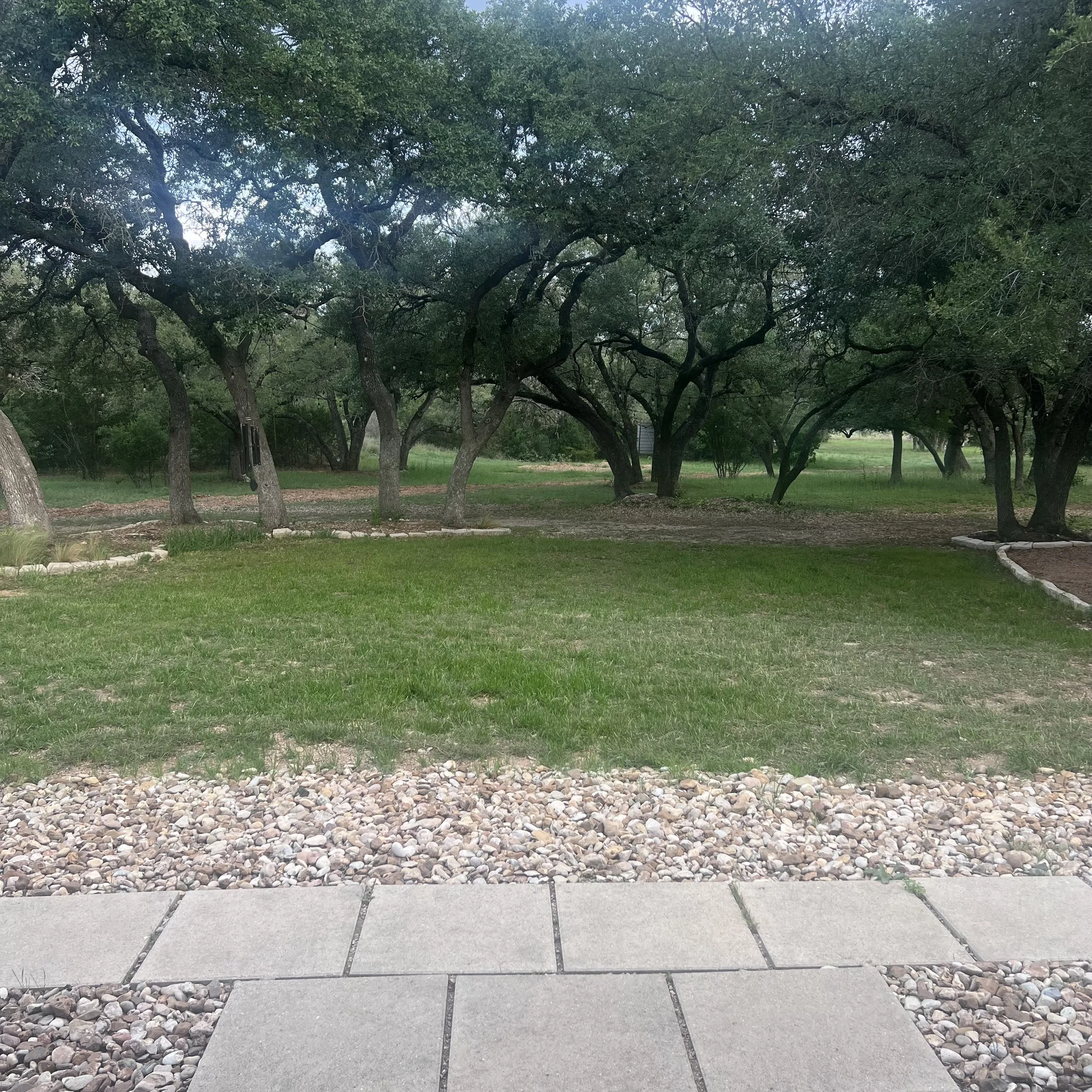 Backyard with manicured oaks off the rear porch.