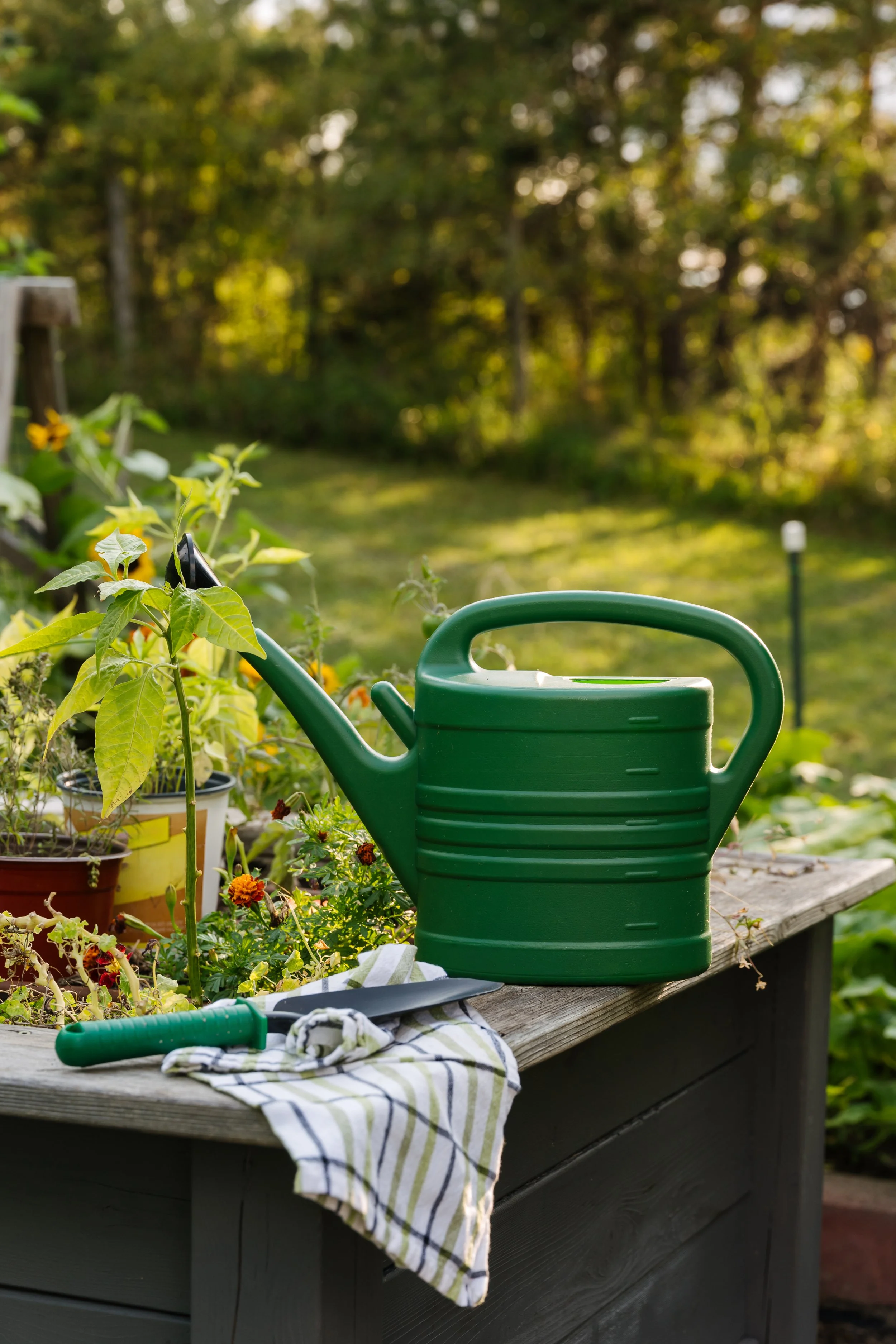 A green watering can, gardening gloves, and gardening tools on a wooden garden table with potted plants, set in an outdoor garden with trees and grass in the background.