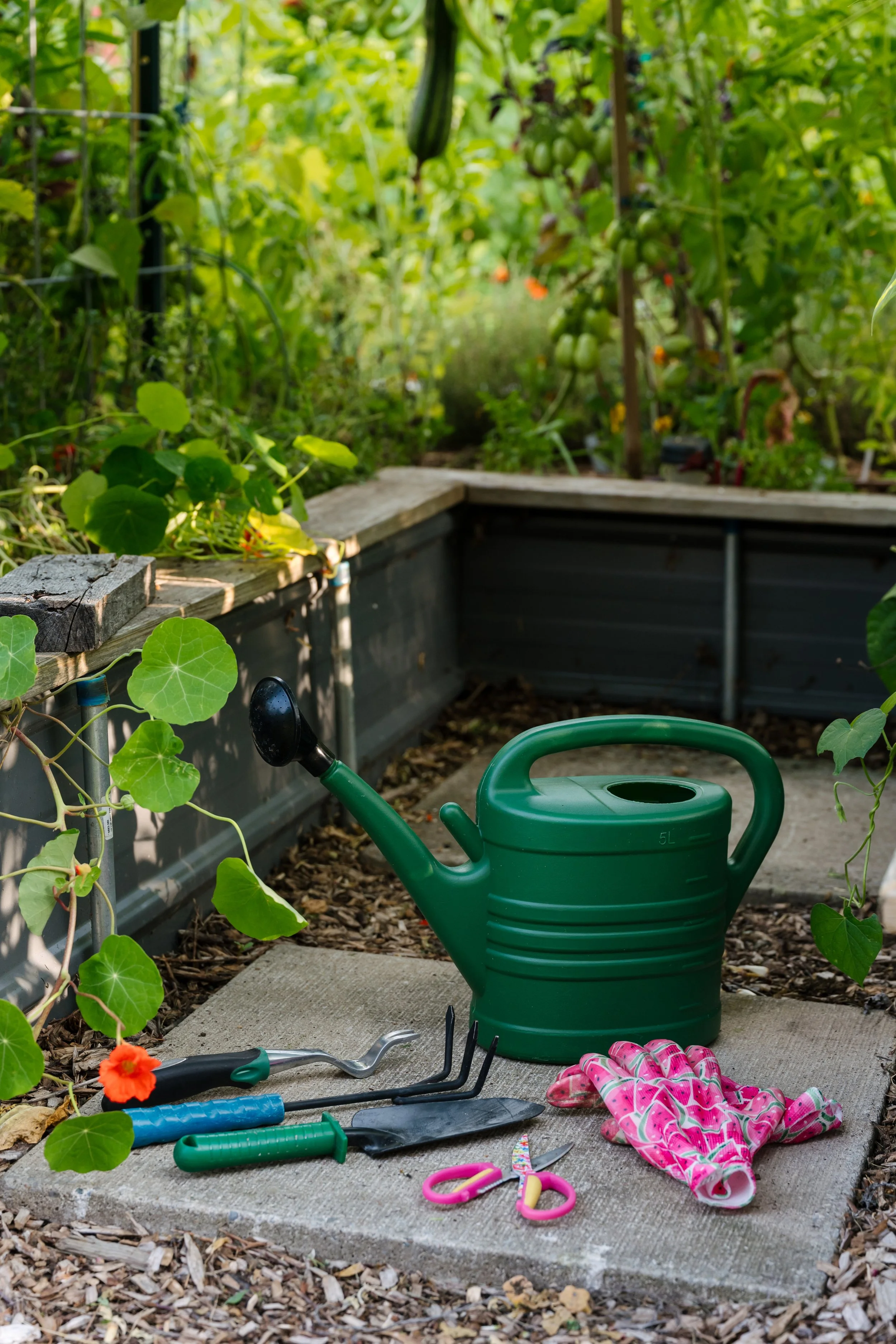 Children's gardening tools and watering can on a concrete pad in a lush vegetable garden.