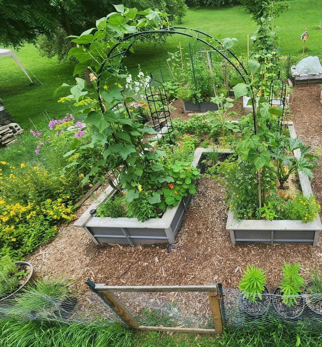 Design & Planting Plans