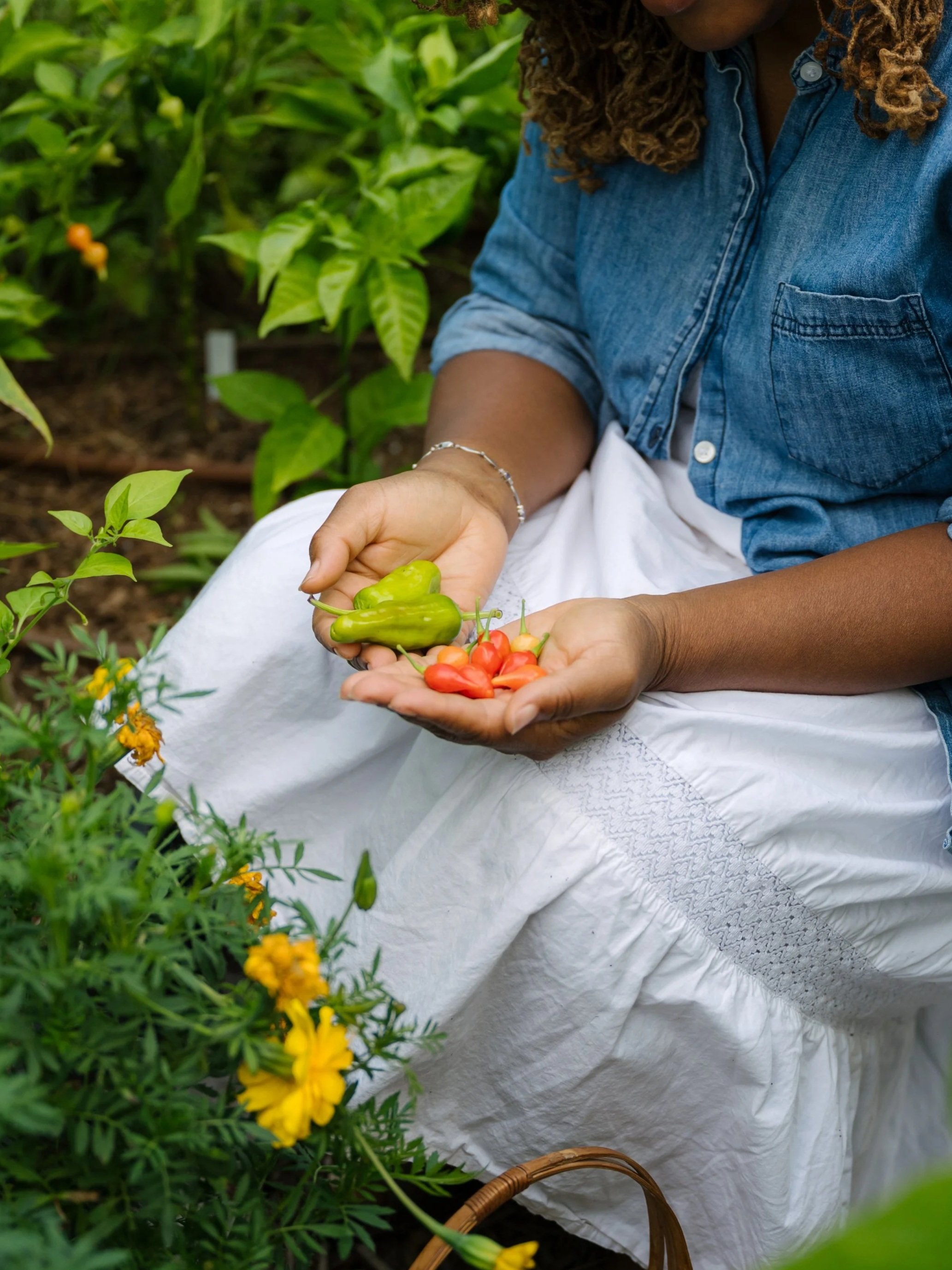 A person in a denim shirt and white skirt sitting in a garden, holding green and red peppers.