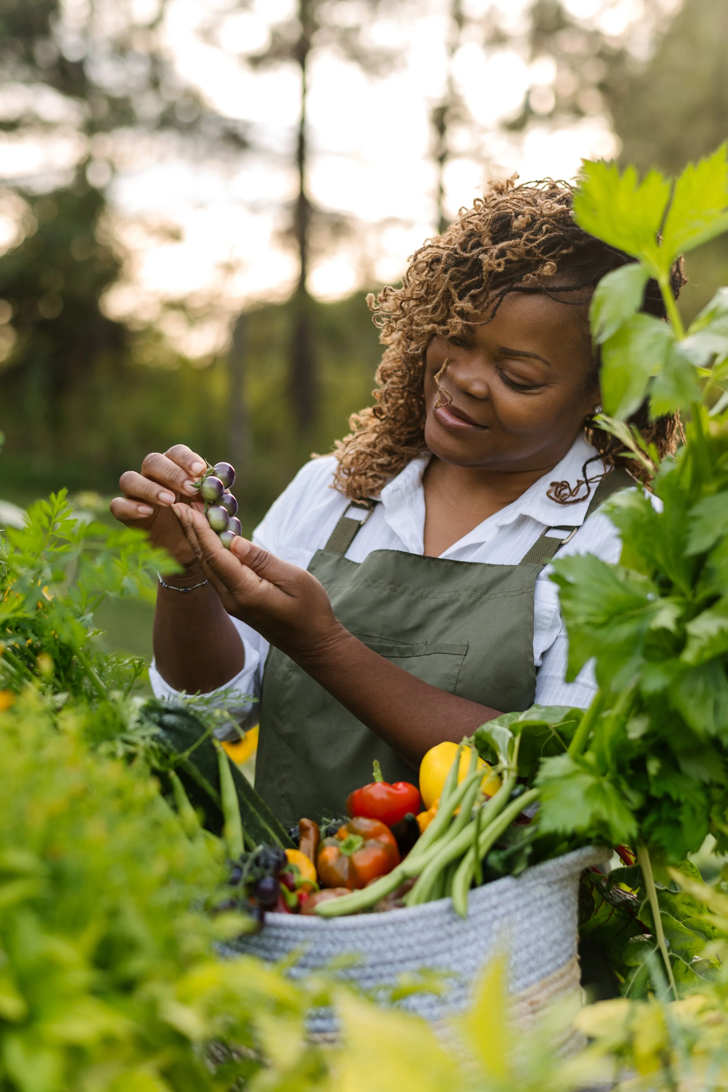 A woman harvesting purple grapes in a greenhouse with a basket of fresh vegetables.