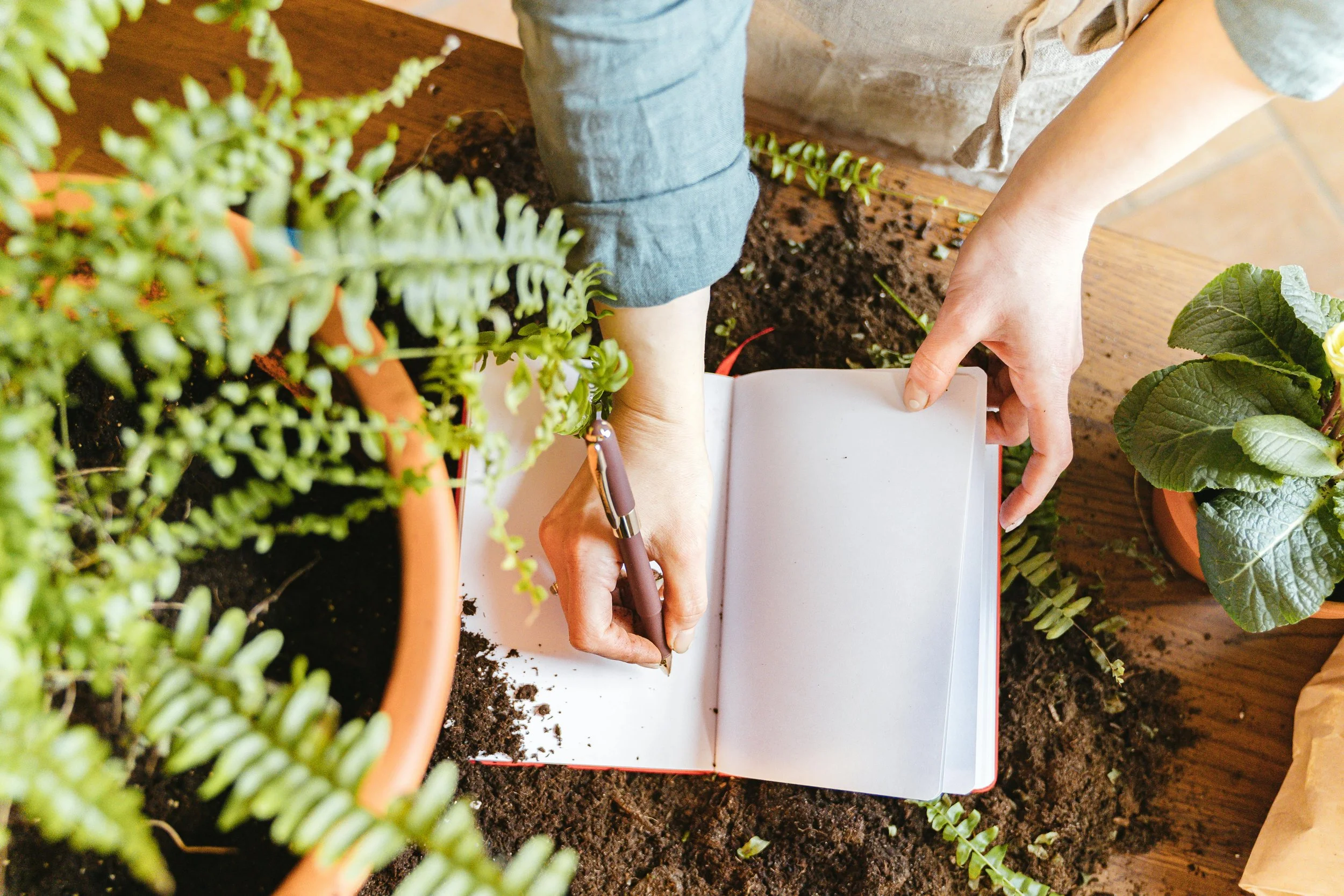 Person writing in a notebook while gardening among potted plants and soil.