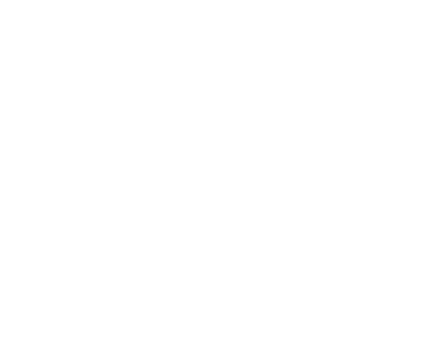 Eastern Shore Import Service
