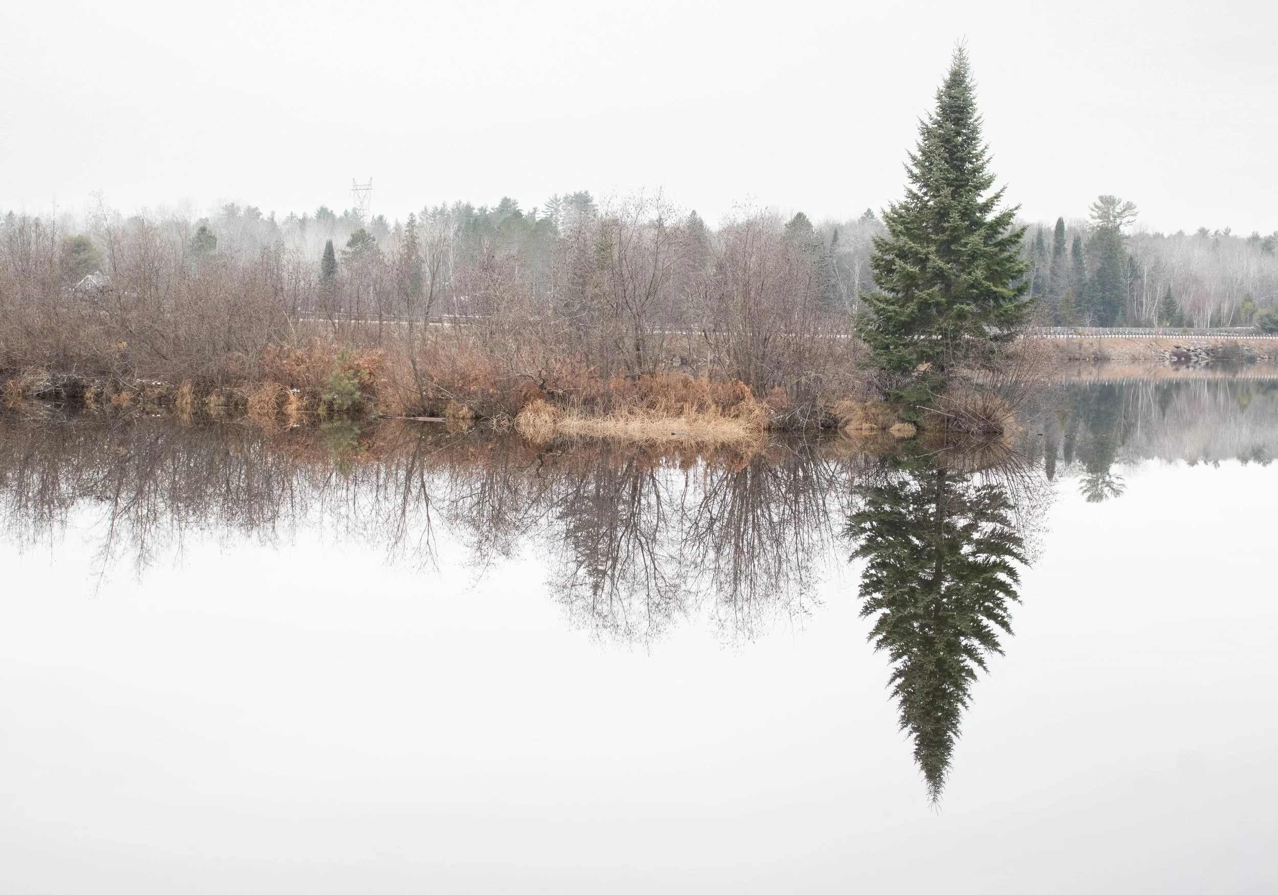 Calm river with pine tree reflections near Deep River, Ont during early spring - nature photography by Tibber's Photography.