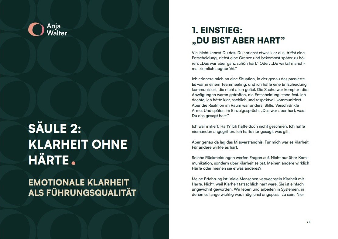Kapitel 2 - Peaceful Leadership Buch