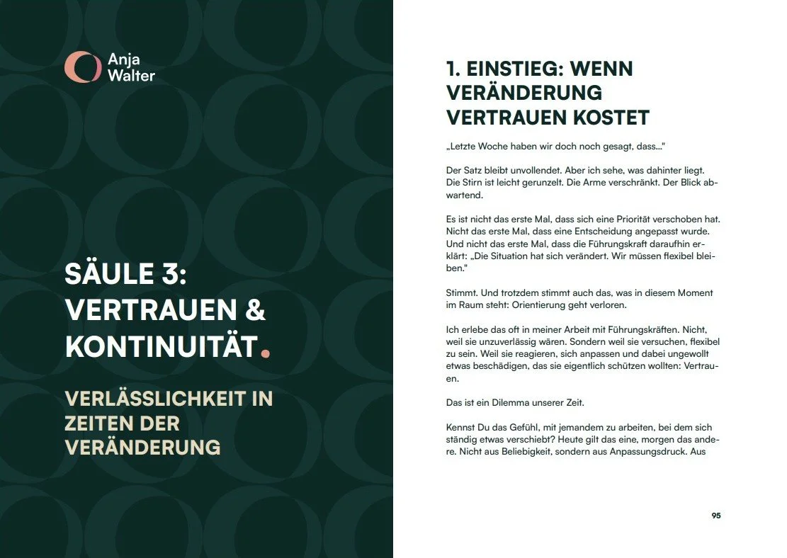 Kapitel 3 - Peaceful Leadership Buch