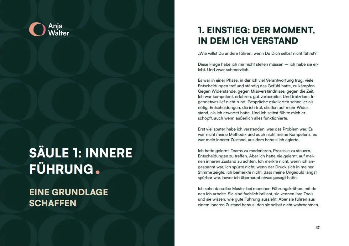 Kapitel 1 - Peaceful Leadership Buch