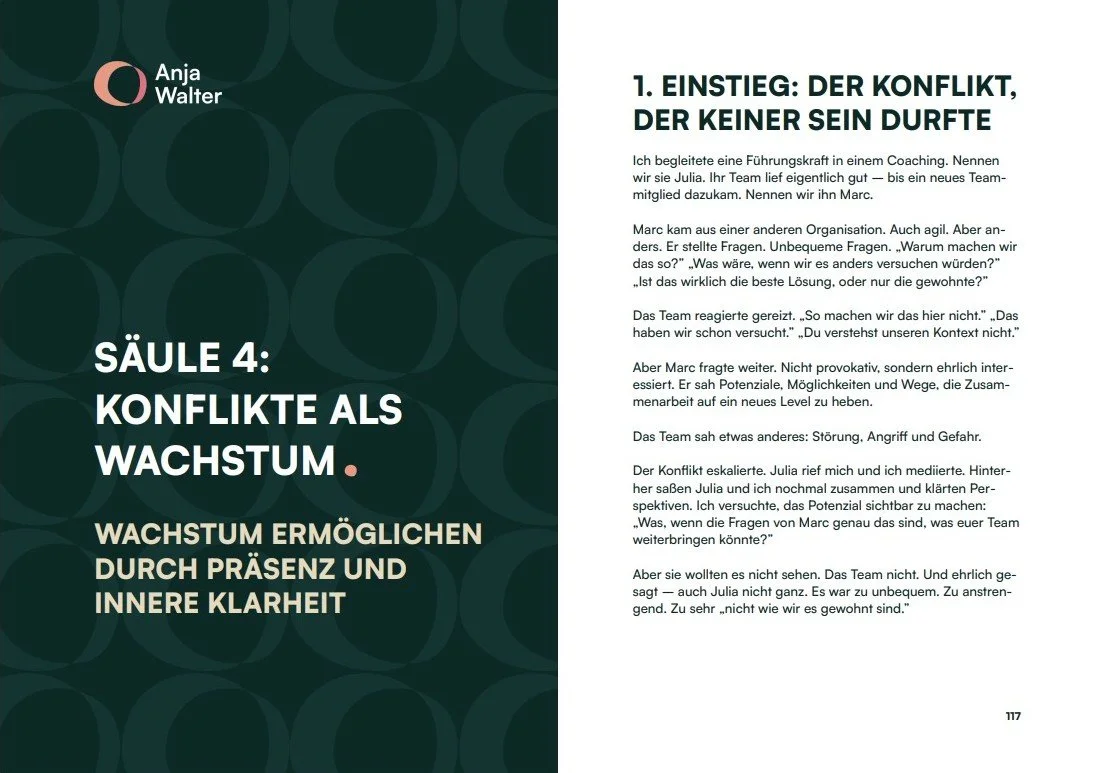 Kapitel 4 - Peaceful Leadership Buch