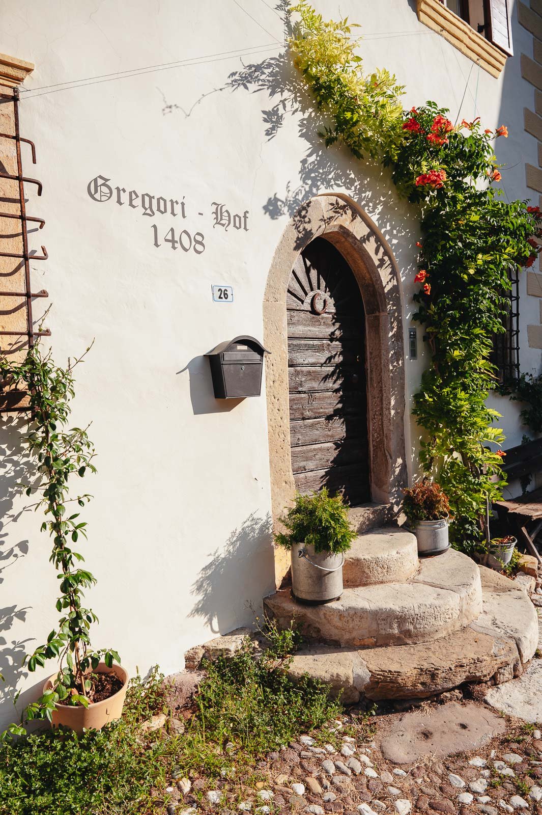 Gregori1408©Monsorno-1640849.jpg