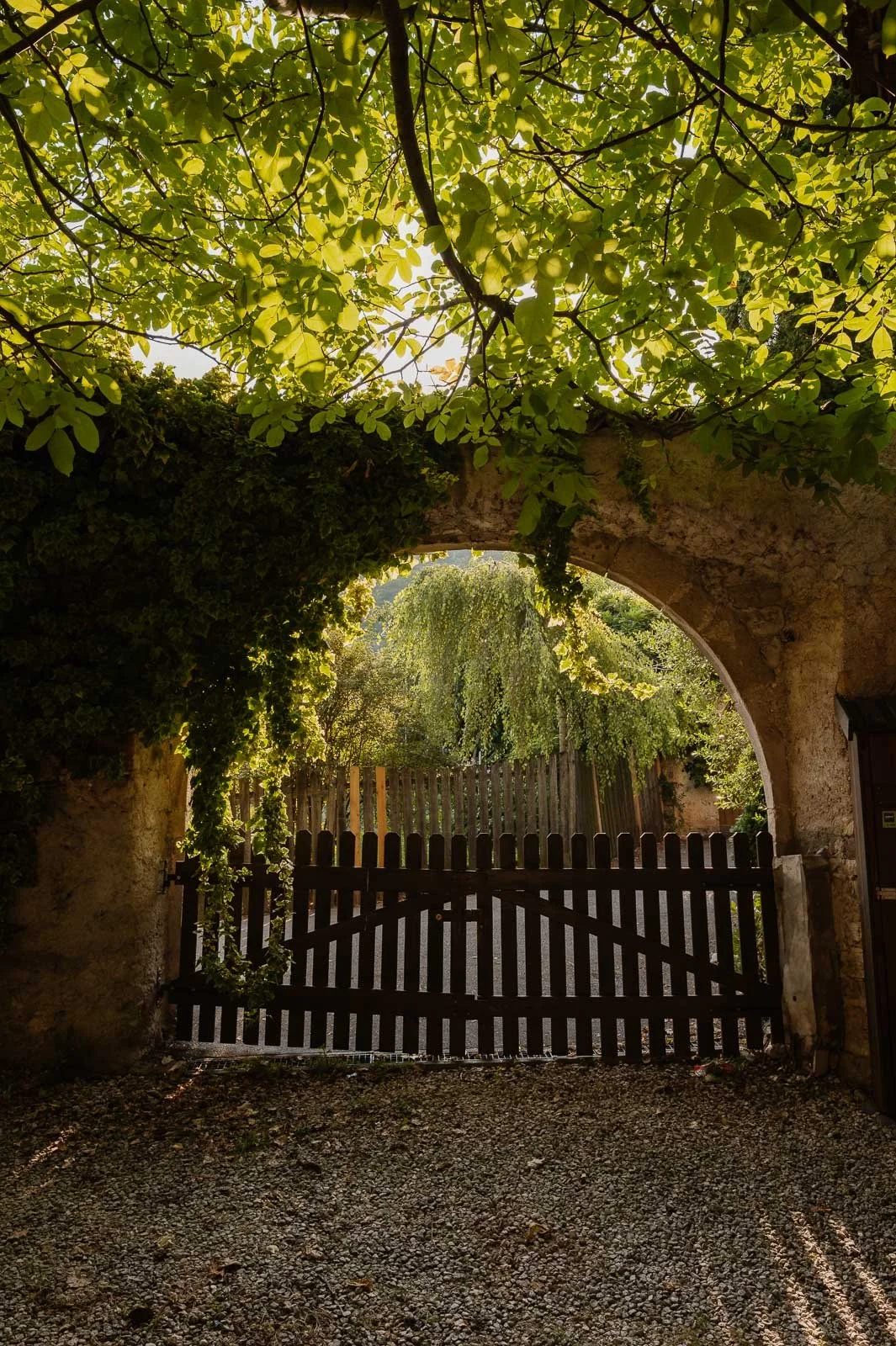 Gregori1408©Monsorno-1640872.jpg