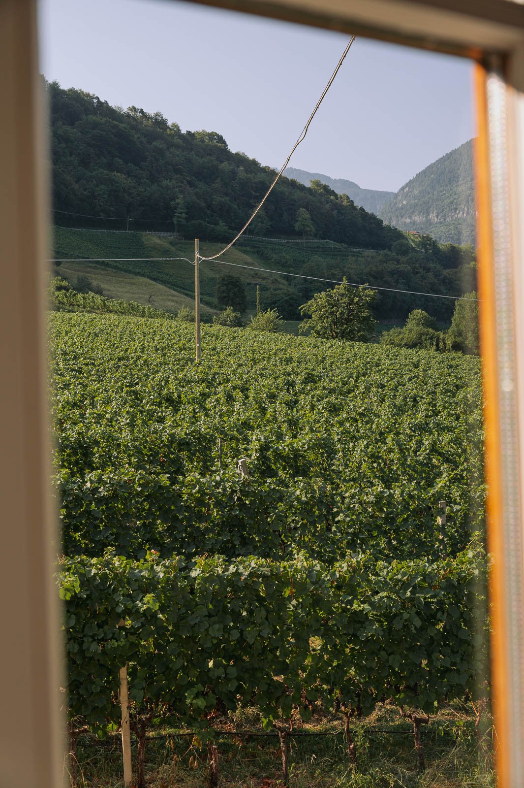 Gregori1408©Monsorno-1640999.jpg