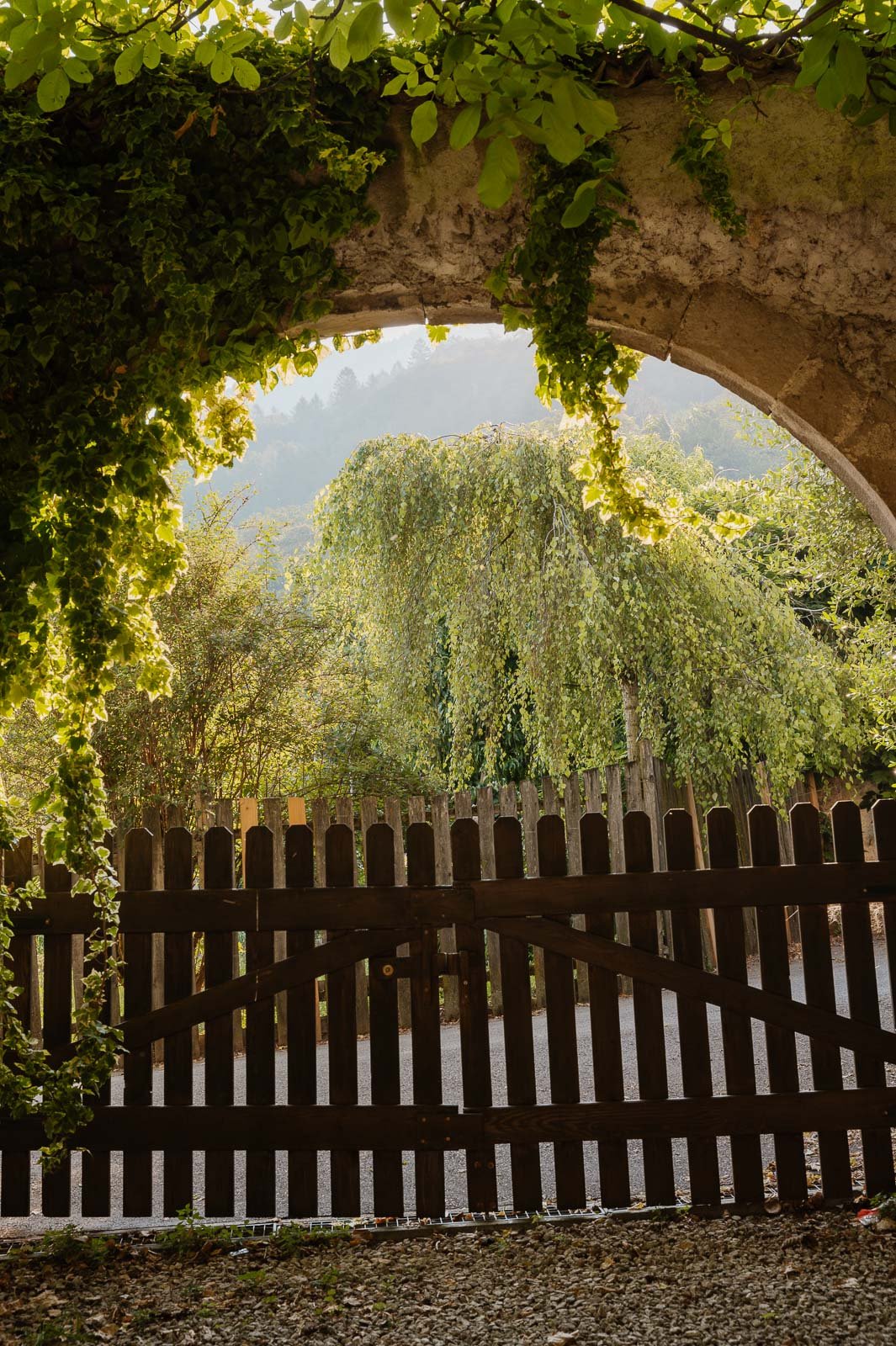 Gregori1408©Monsorno-1640874.jpg