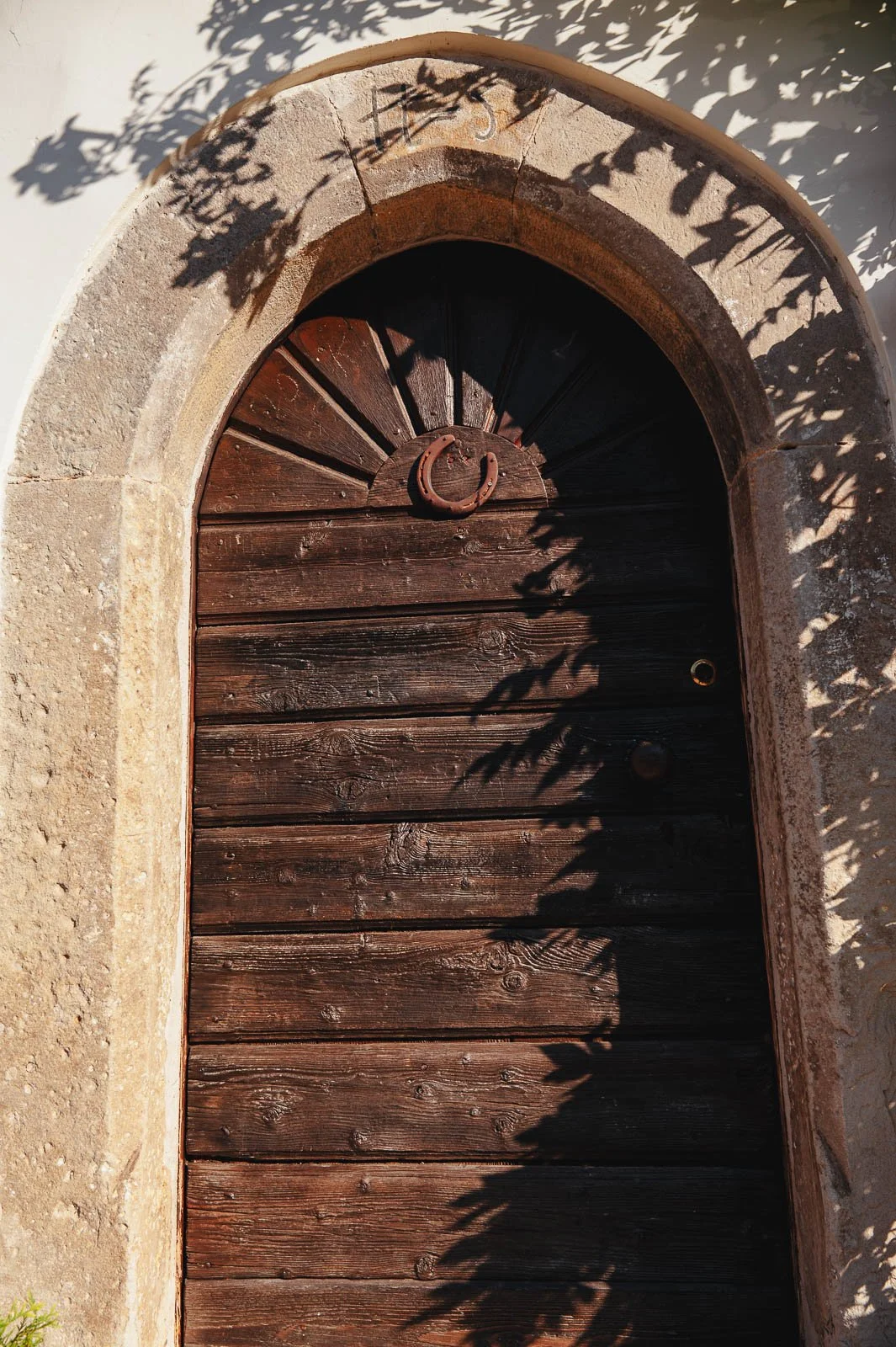 Gregori1408©Monsorno-1640859.jpg