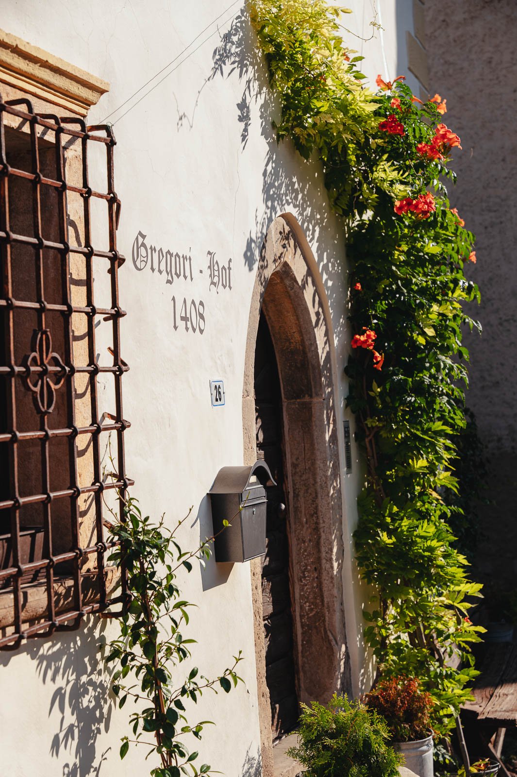 Gregori1408©Monsorno-1640901.jpg
