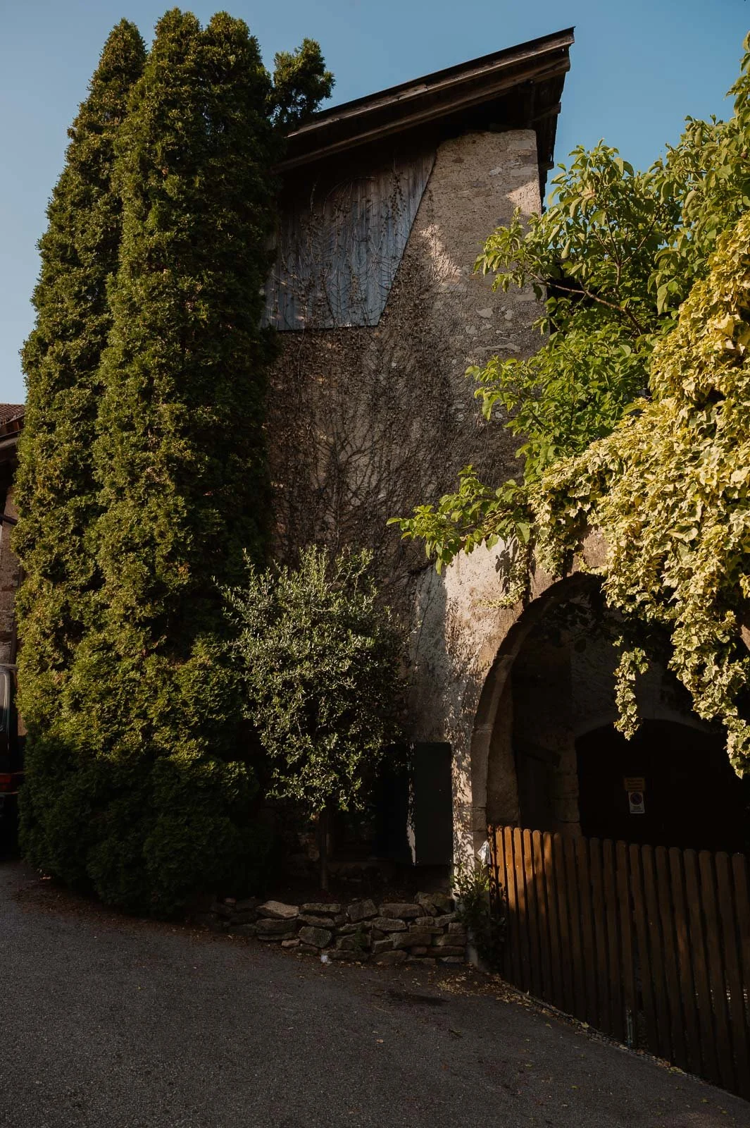 Gregori1408©Monsorno-1640866.jpg