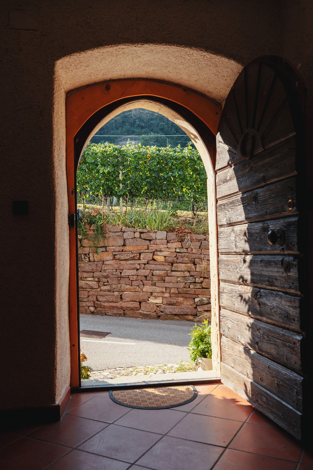 Gregori1408©Monsorno-1640906.jpg