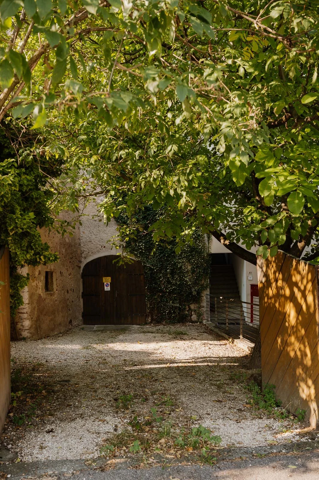 Gregori1408©Monsorno-1640893.jpg