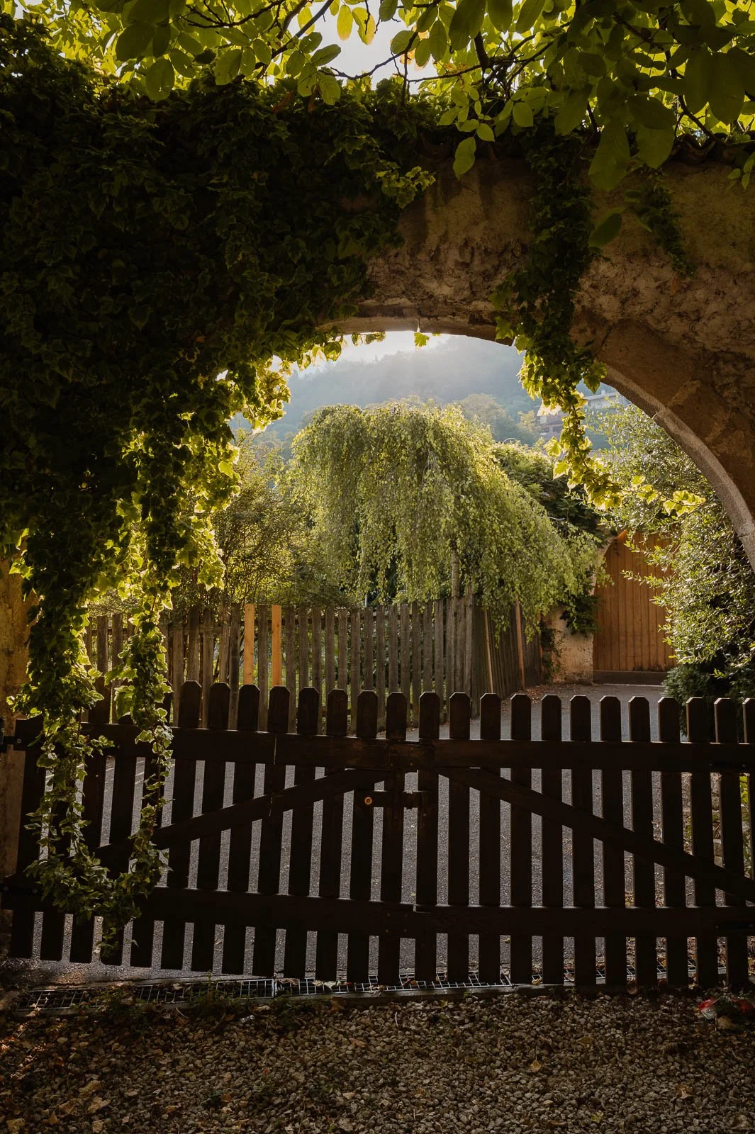 Gregori1408©Monsorno-1640870.jpg