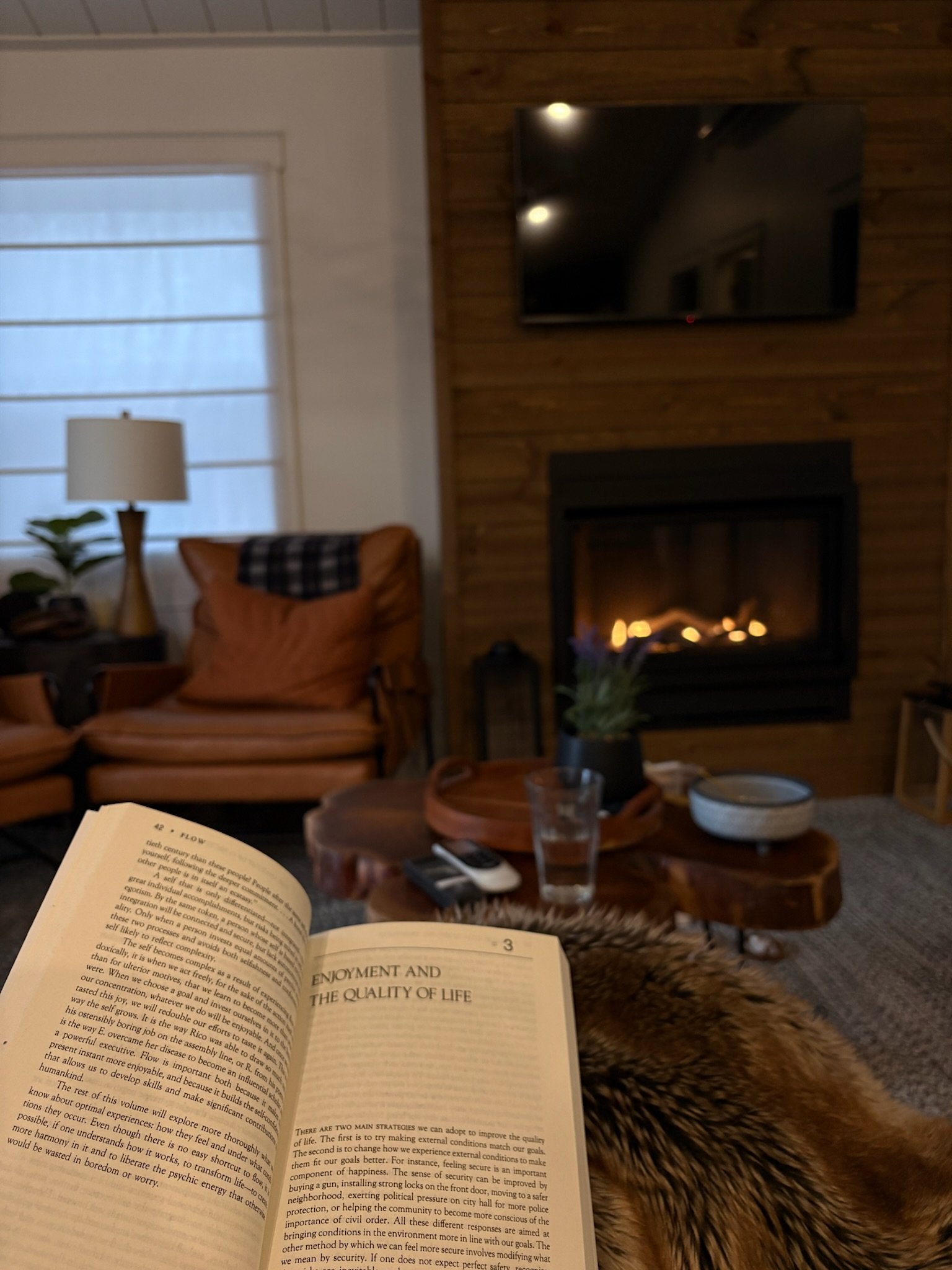 A cozy living room with a fireplace, a mounted TV, armchair, lamp, and a person holding an open book.