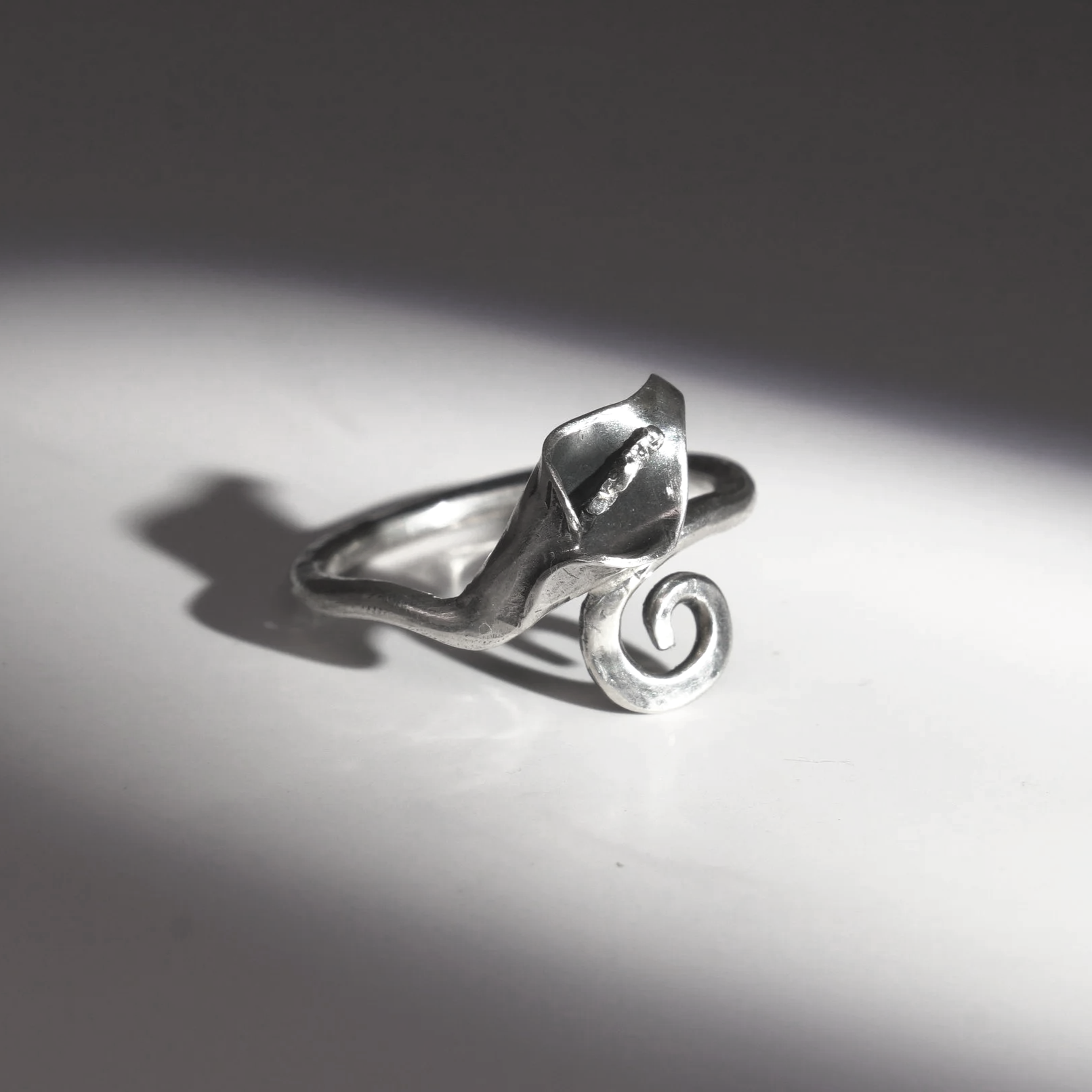 Anillo Cala