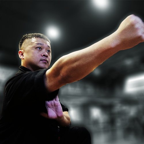 Han Jixiang Changquan Shú