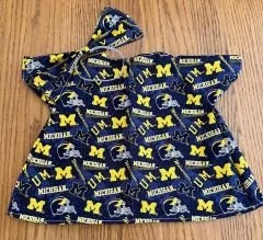 university of michigan.jpg