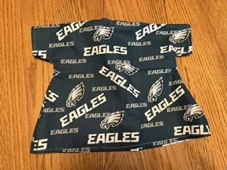 philidelphia eagles.jpeg