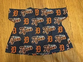 detroit tigers.jpeg