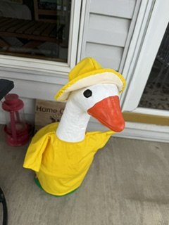 IMG_1088.jpeg