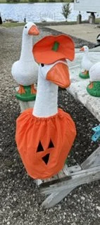 IMG_8816.jpeg