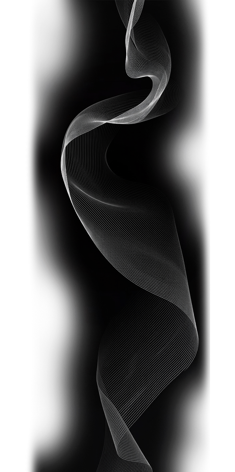 A stylized, flowing abstract white wave graphic on a black background, representing the process of turning complex data into decisive conservation action.