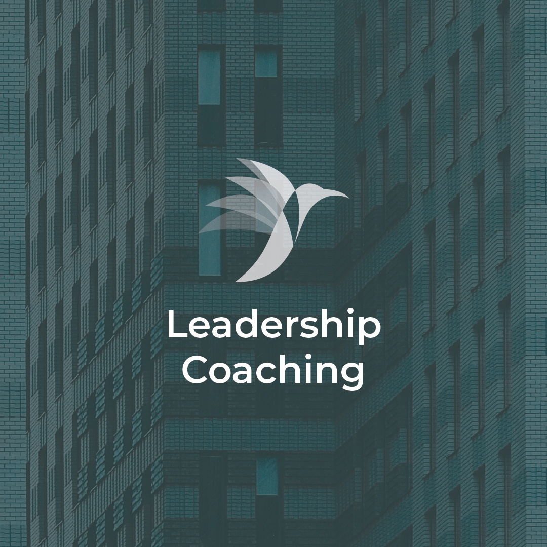 Logo of a hummingbird with its wings in motion, overlaid on a dark city building background, with text 'Leadership Coaching' underneath.