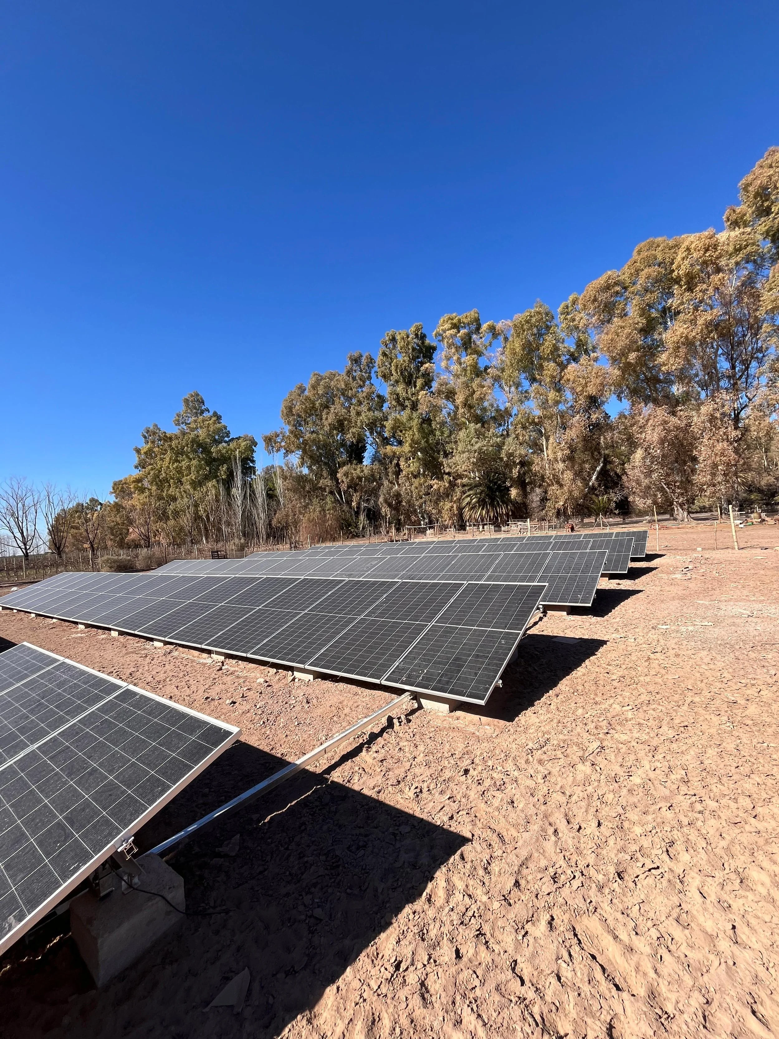 paneles solares en un campo seco con árboles y cielo azul.