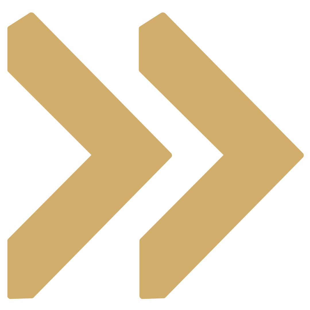 A stylized logo with two golden arrows pointing to the right, overlapping each other.