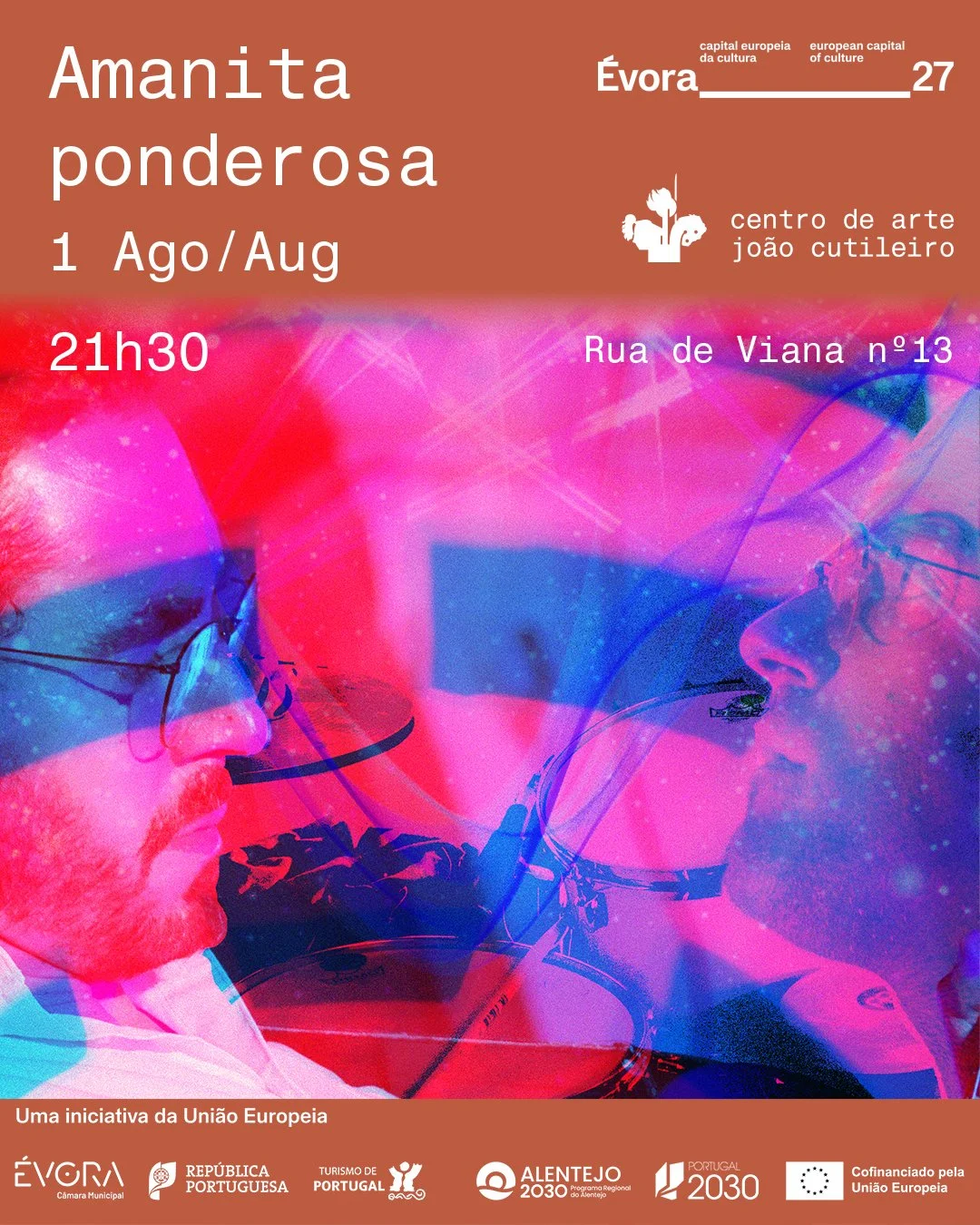 concerto - Amanita ponderosa