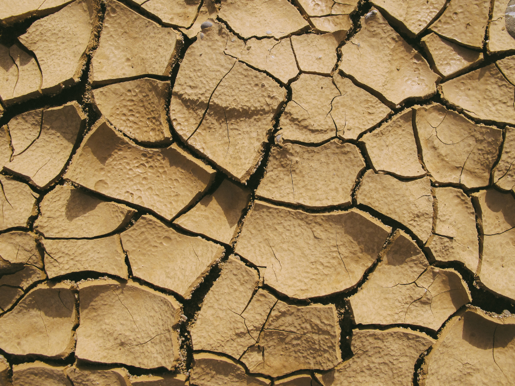 When the Water Recedes