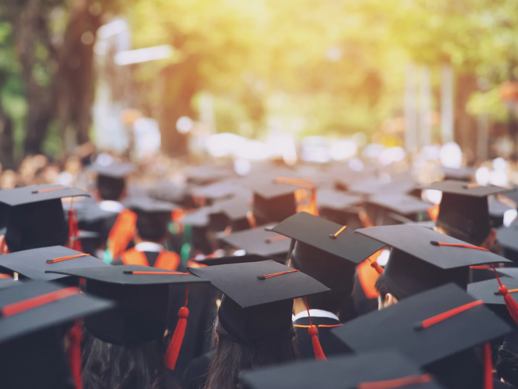 The Degree Was Never Just the Degree