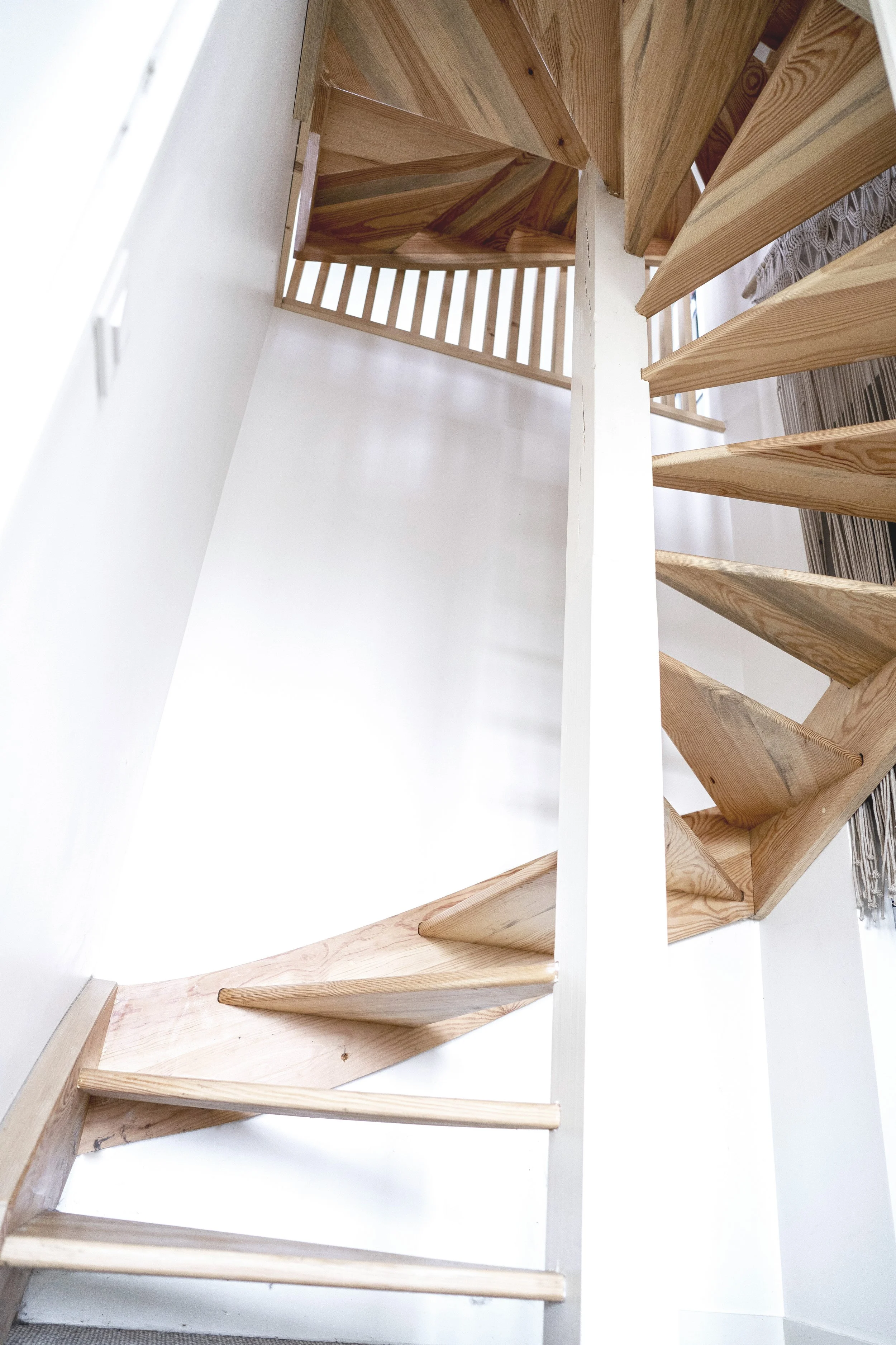 INESS ARCHI 2_20 c.jpg